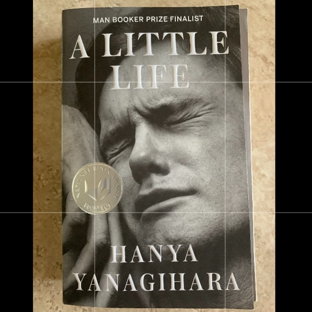 a little life book